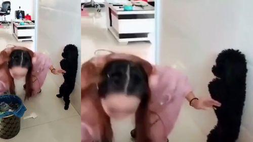 佛妹被人爆料视频,揭秘网络舆论背后的真相 第2张 佛妹被人爆料视频,揭秘网络舆论背后的真相 第2张